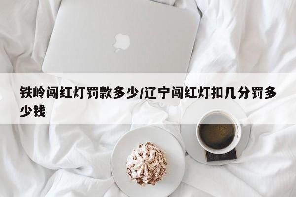 铁岭闯红灯罚款多少/辽宁闯红灯扣几分罚多少钱