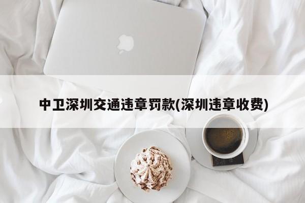 中卫深圳交通违章罚款(深圳违章收费)